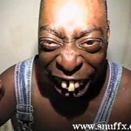 Битлджус нигер