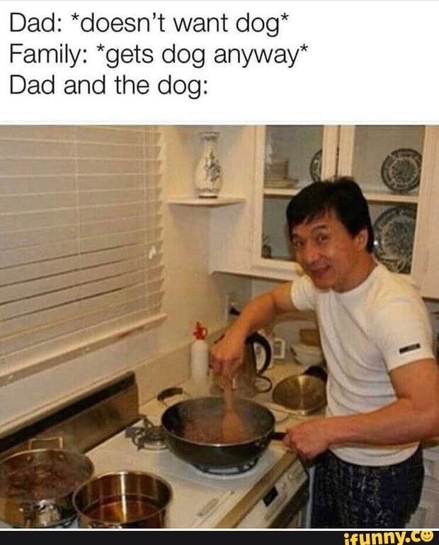 Отец не хочет собаку семья заводит собаку