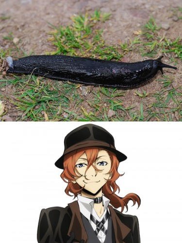 Чуя Накахара СЛИЗНЯК