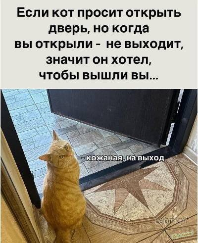 Юмор в ленту