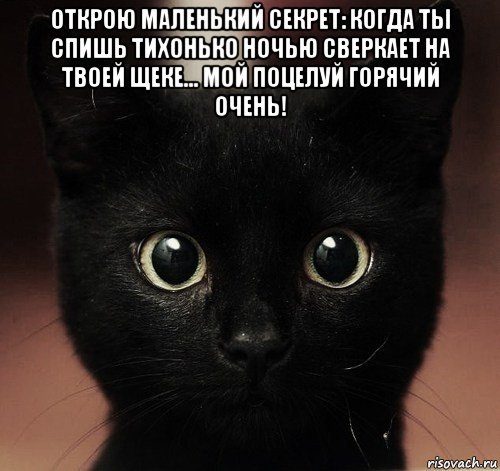 Черный котенок Мем