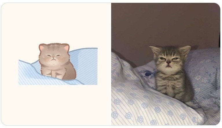 Сонный котик Мем
