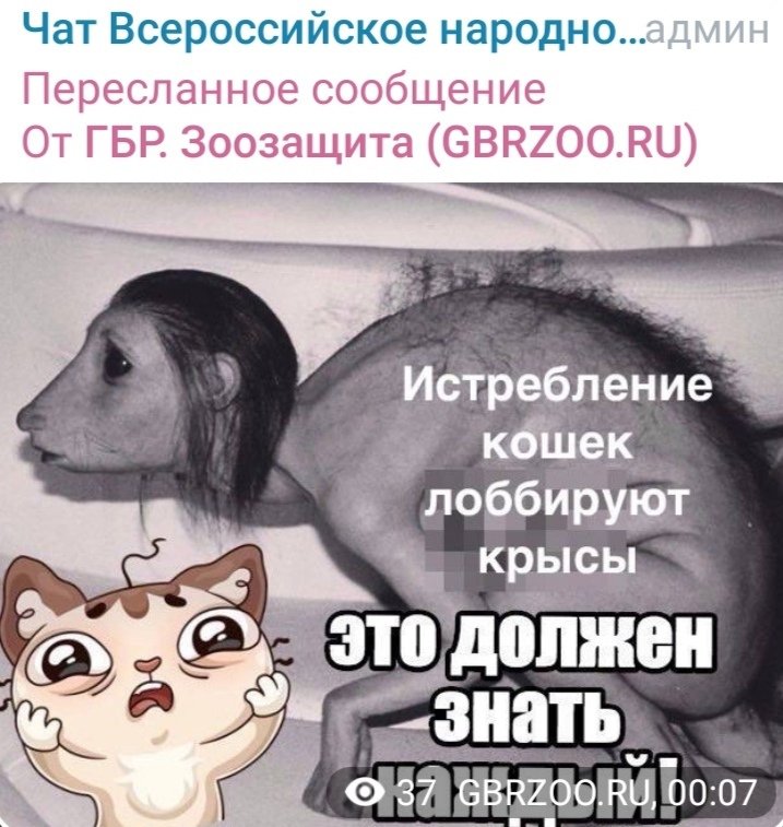 Превращение женщины в крысу