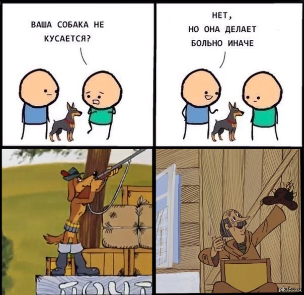 Собака кусается