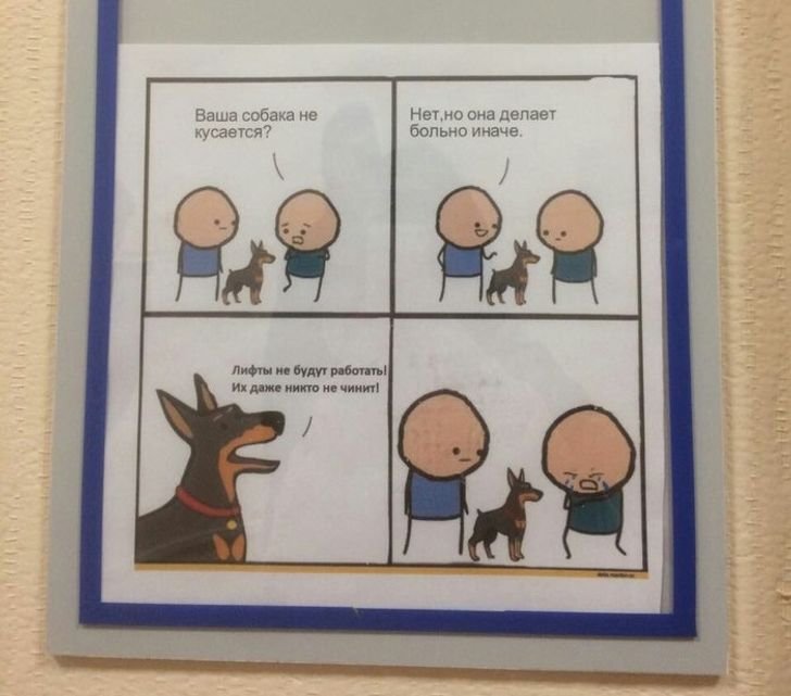 Собака не кусается она делает больно иначе