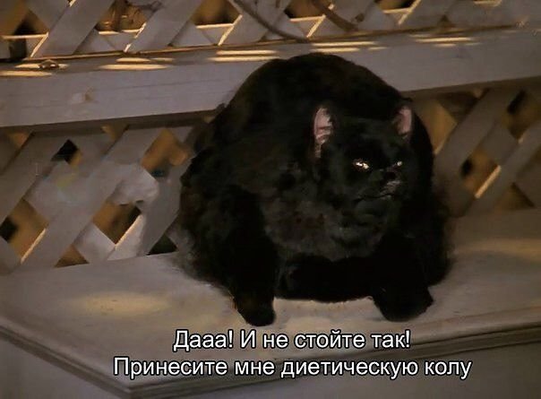 Кот Салем из Сабрины