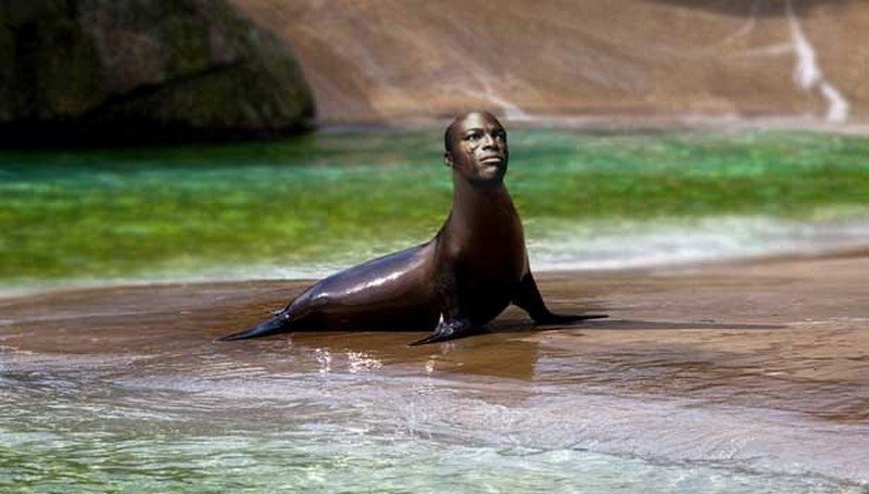 Морской негр