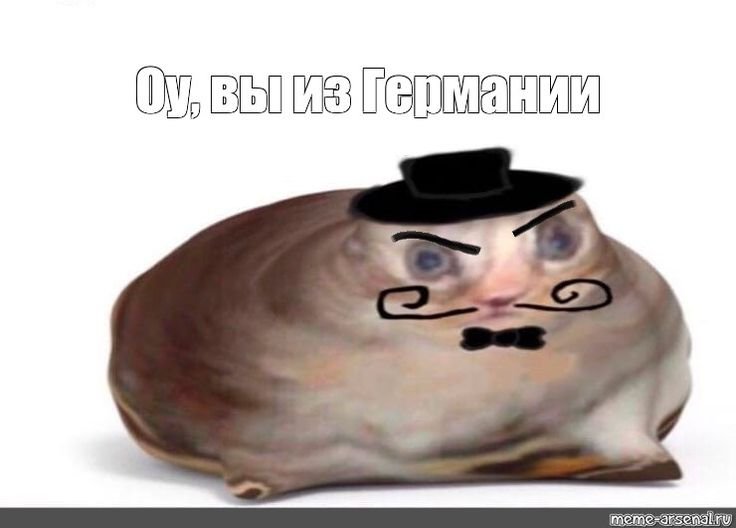 О вы из Мем кот