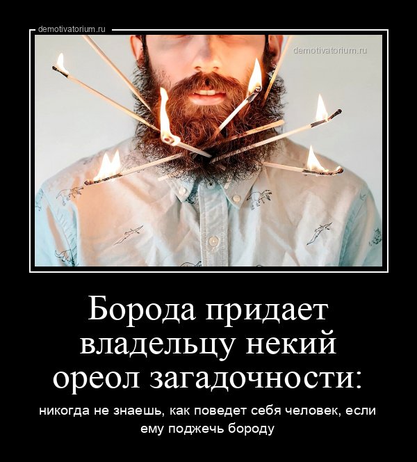 Мужик с бородой демотиватор
