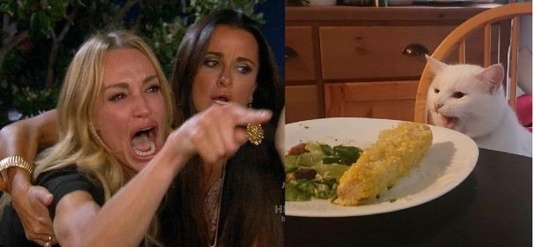 Мем женщина и кот оригинал