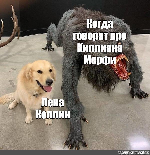 Страшная собака и милая собака