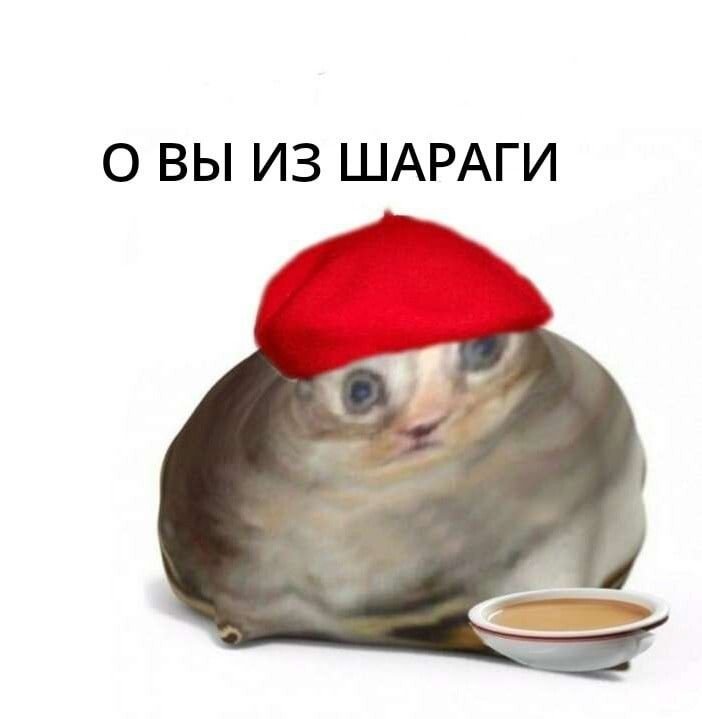 Кот француз Мем