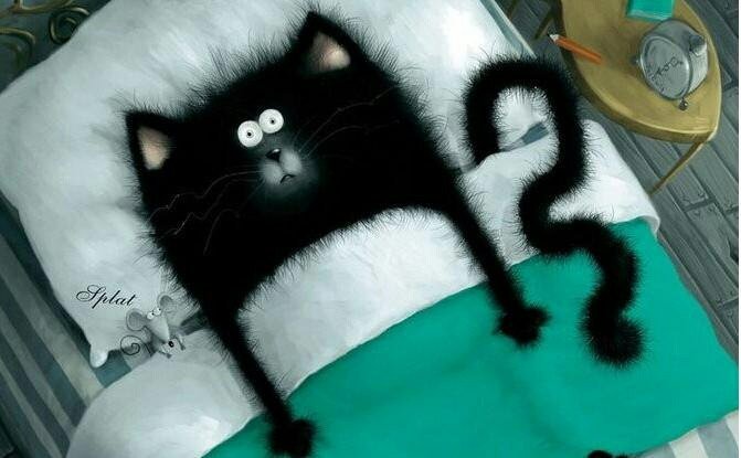 Кот под одеялом