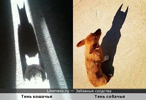 Прикольные тени