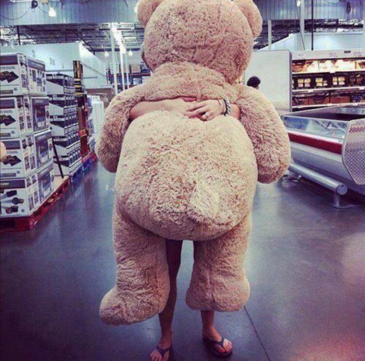 Плюшевый мишка