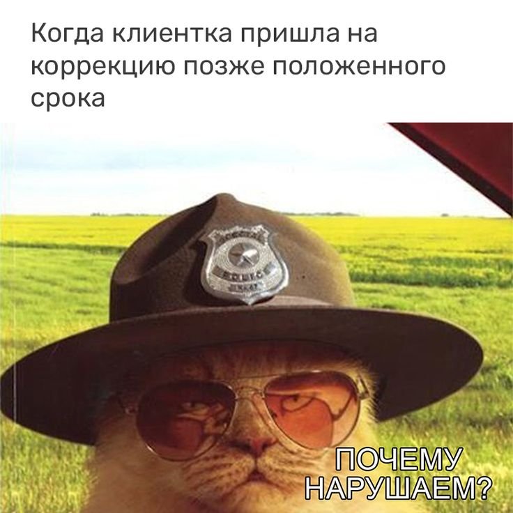Кот ковбой