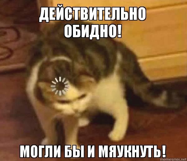 Кот загрузка