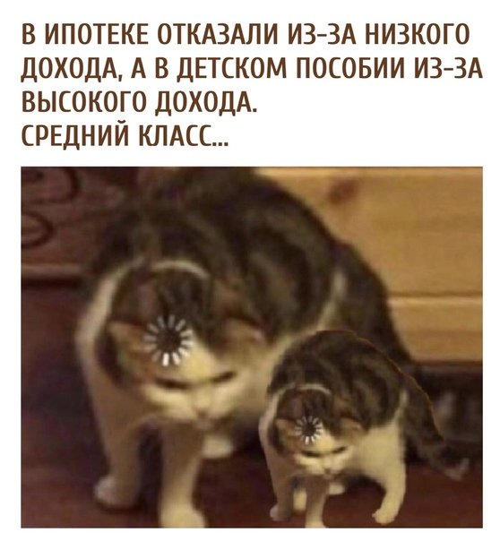 Кот загрузка