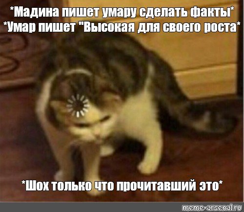 Кот загрузка Мем