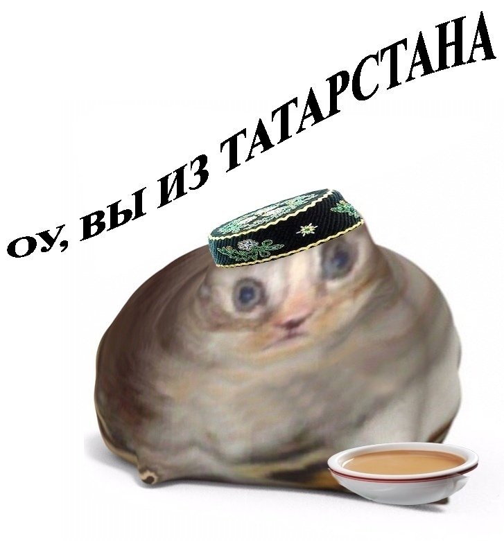 Кот в тюбетейке Мем