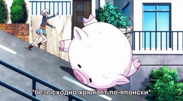 Аниме поросенок