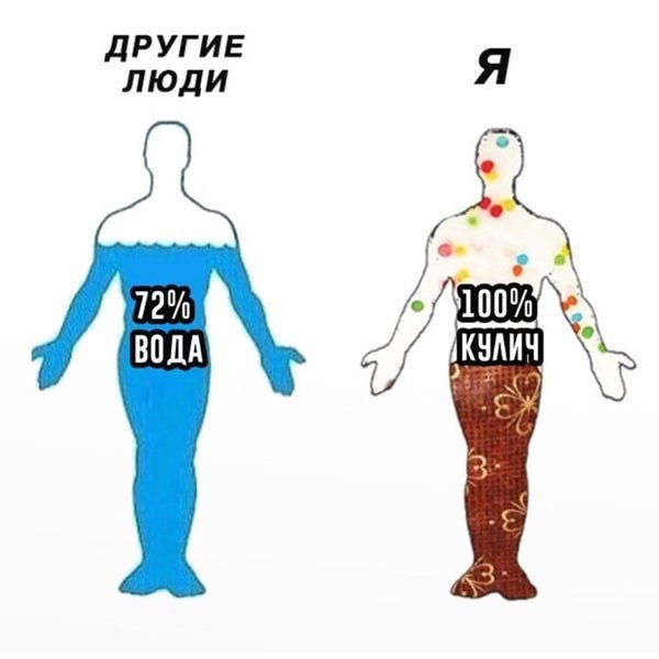 Человек состоит из воды