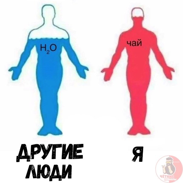 Человек состоит из