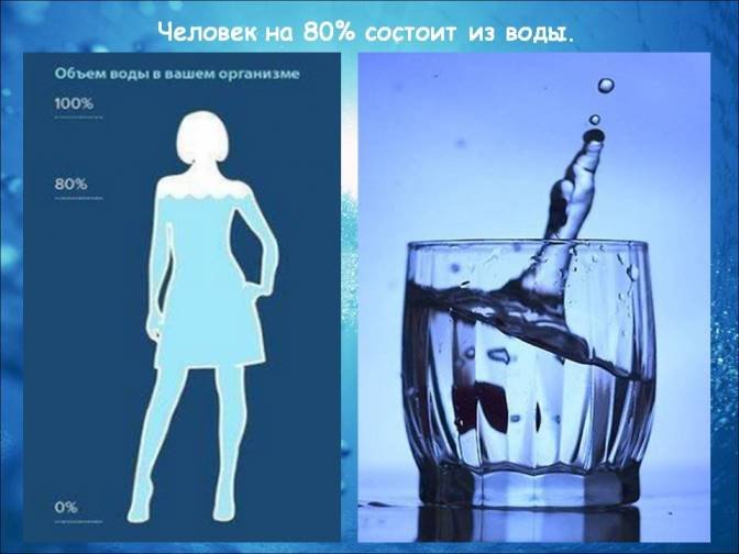 Человек состоит из воды на 80