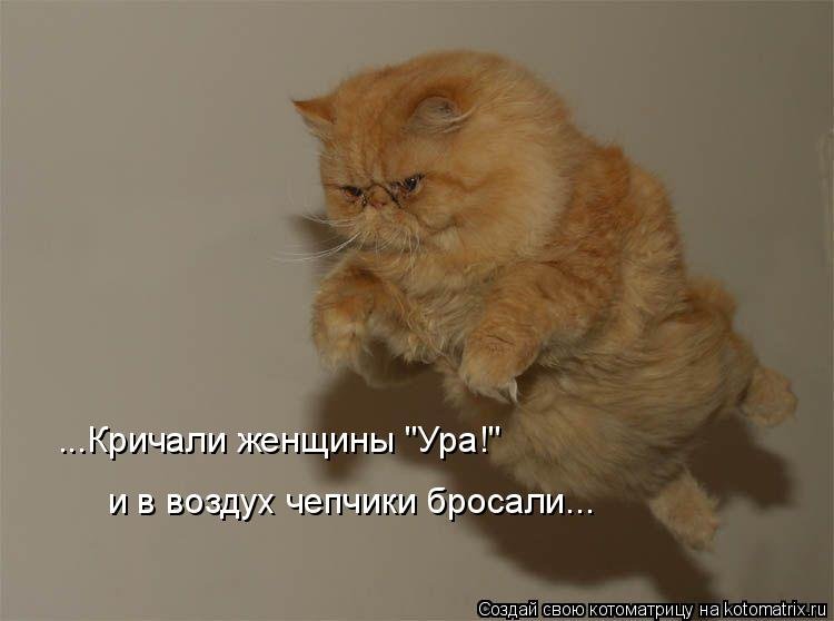 Летающие жирные коты