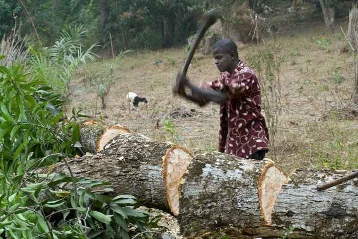 Работать негры Мем