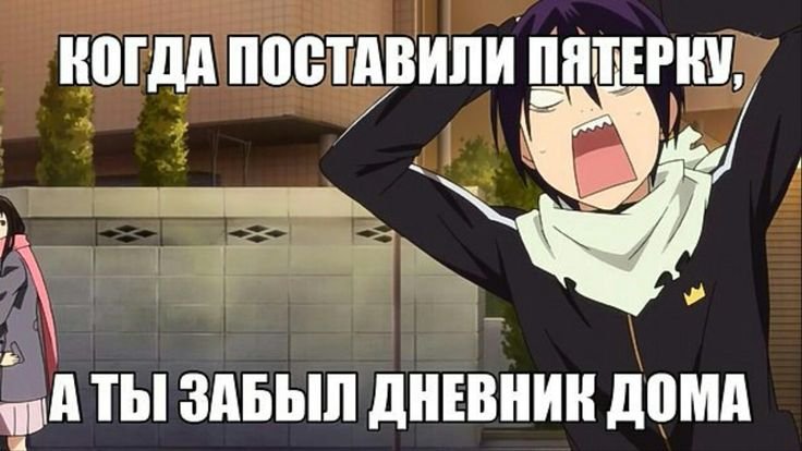 Бездомный Бог Мем