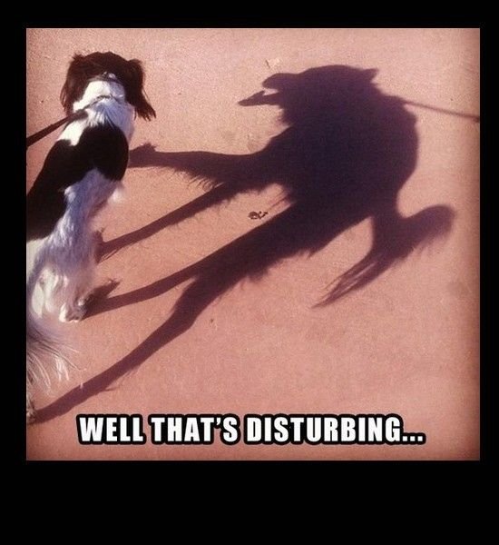 Приколы про внешность