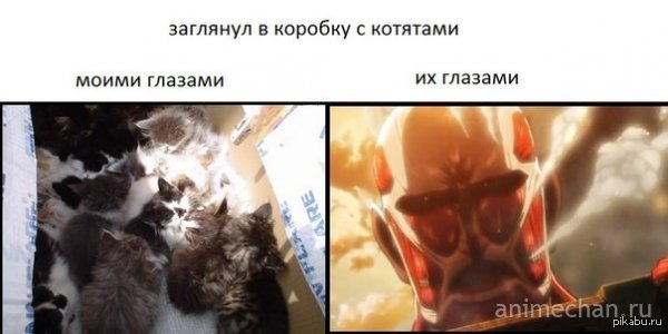 Атака титанов Мем