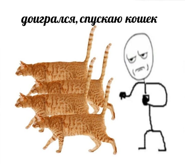 Мем с котами
