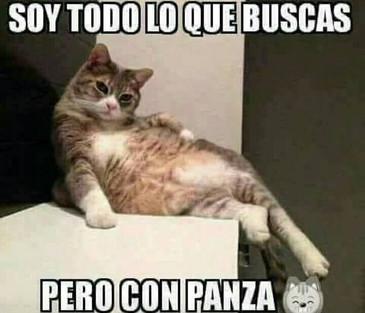 Ты скучаешь по мне