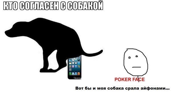 Собака какает Мем