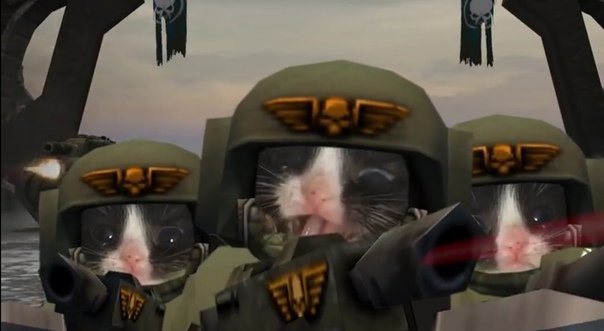 Фелиниды Мышич