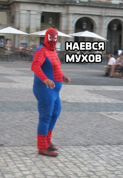 Наелся Мухов человек паук Мем