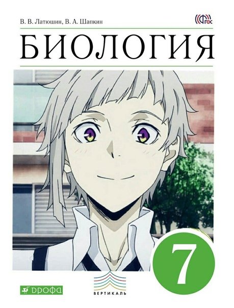 Аниме учебники