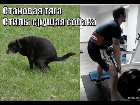 Тяга в стиле срущей собаки