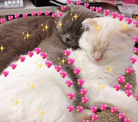 Кошечка с сердечком