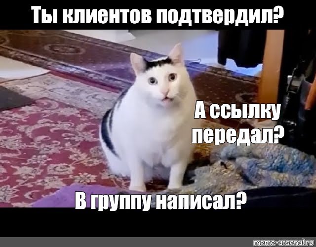 Толстый кот Мем мяукает