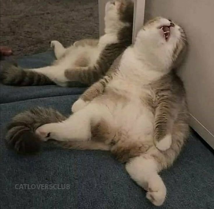 Опять суббота