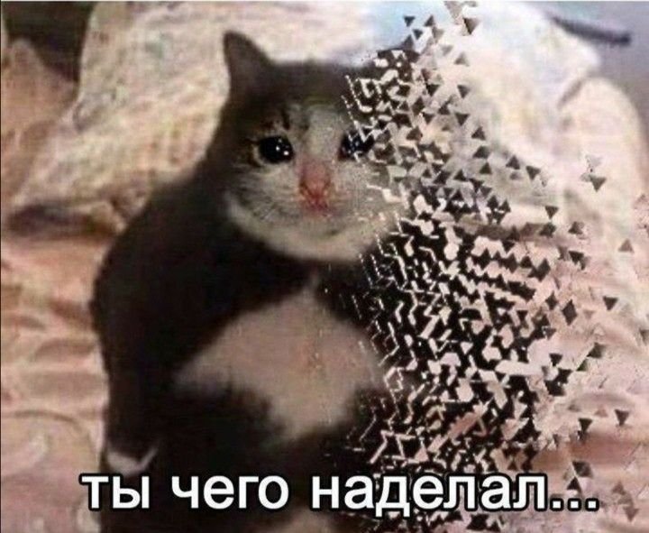 Исчезающий кот
