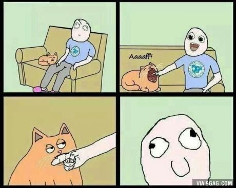 Мемы с зевающим котом