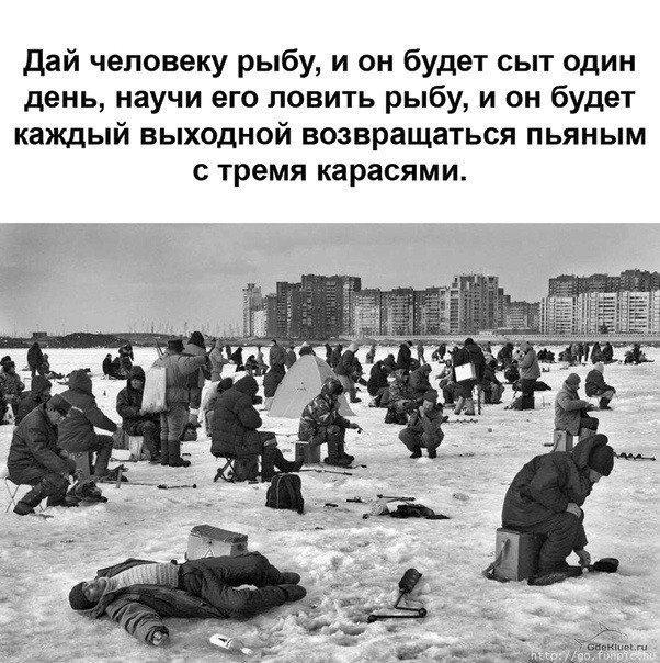 Дай человеку рыбу и он будет сыт один день