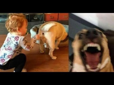 Смешно до слез фото