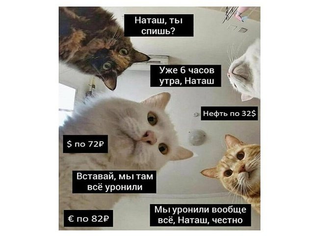 Мем Наташа мы все уронили