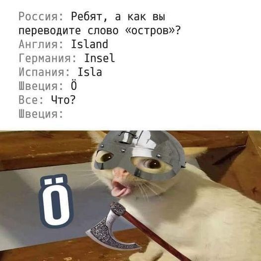 Ö Мем с котом