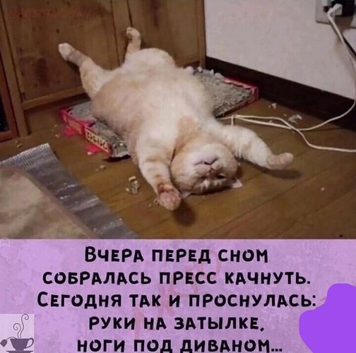 Уставший котик